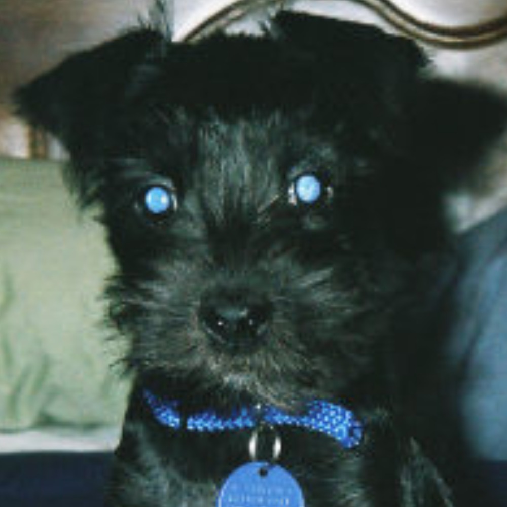 Meet your Posher, Beverley